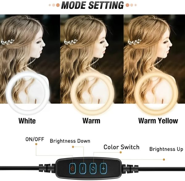 26cm Led Ring Light With Mobile Holder, 7ft Tripod Stand